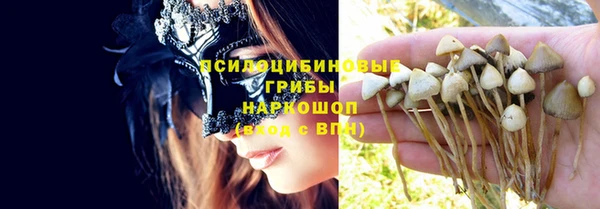 ECSTASY Навашино