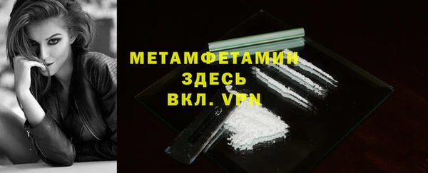 прущие грибы Михайловка