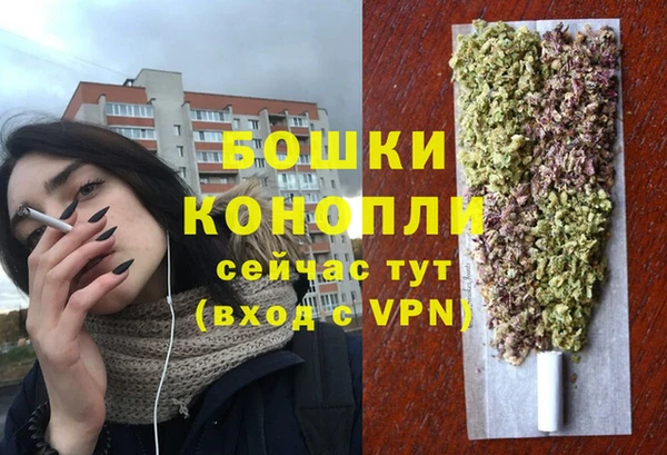 прущие грибы Михайловка