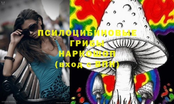 СК Михайлов