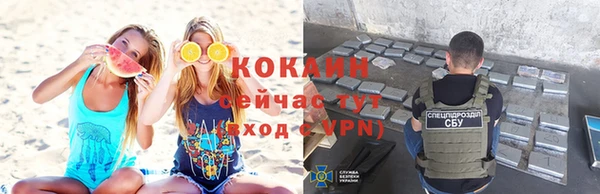 прущие грибы Михайловка