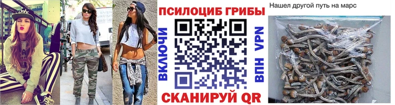 Галлюциногенные грибы GOLDEN TEACHER  Качканар 