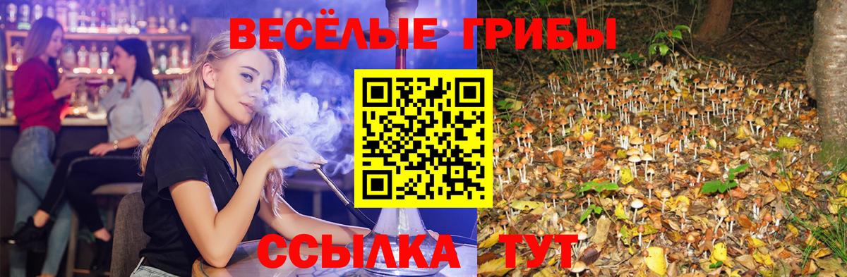 Галлюциногенные грибы Psilocybine cubensis Качканар