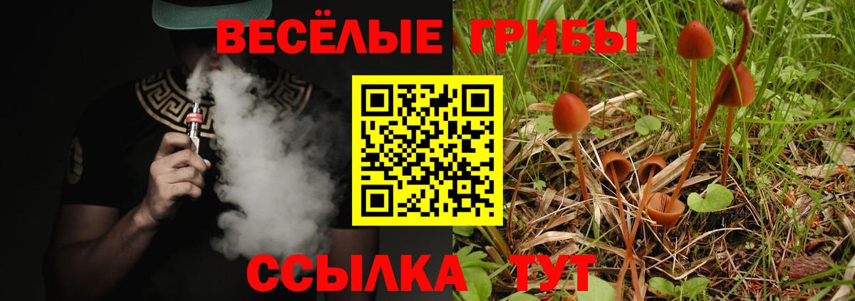 Галлюциногенные грибы Psilocybine cubensis  Галлюциногенные грибы Psilocybe  Качканар 